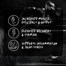 Afterdark | OrganX | Organ Defender