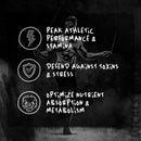 Afterdark | TUDCA | Liver Support