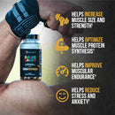 Alpha Lion | Gains Candy Turkesterone