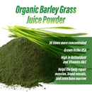 Myogenix Myovite: Super Greens